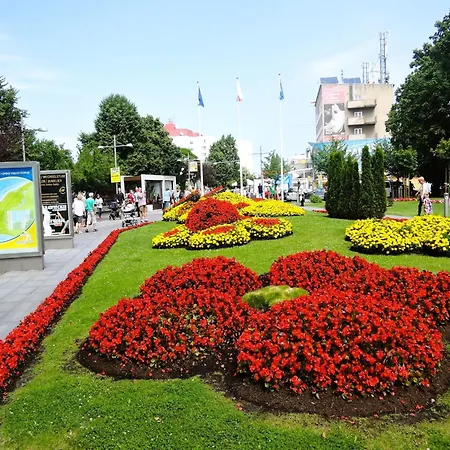 In Mi Dzyzdroje By The Sea *